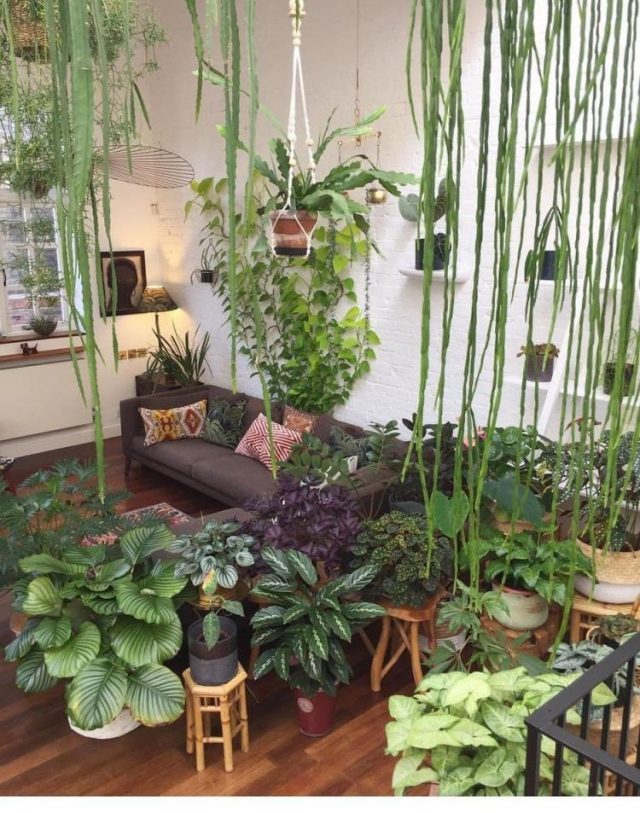 65+ AWESOME HOME INDOOR JUNGLE DESIGN IDEAS - Page 35 Of 70