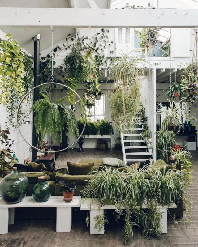 65+ AWESOME HOME INDOOR JUNGLE DESIGN IDEAS - Page 6 Of 70