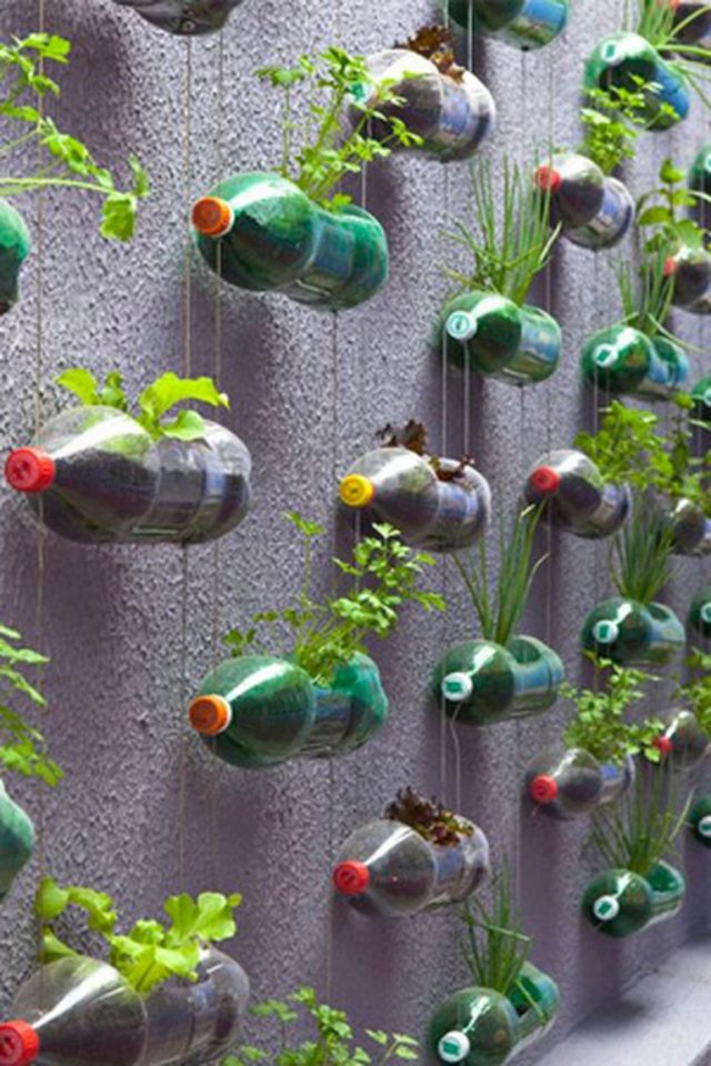 35+ Creative And Simple DIY Vertical Garden Ideas - Page 12 Of 39