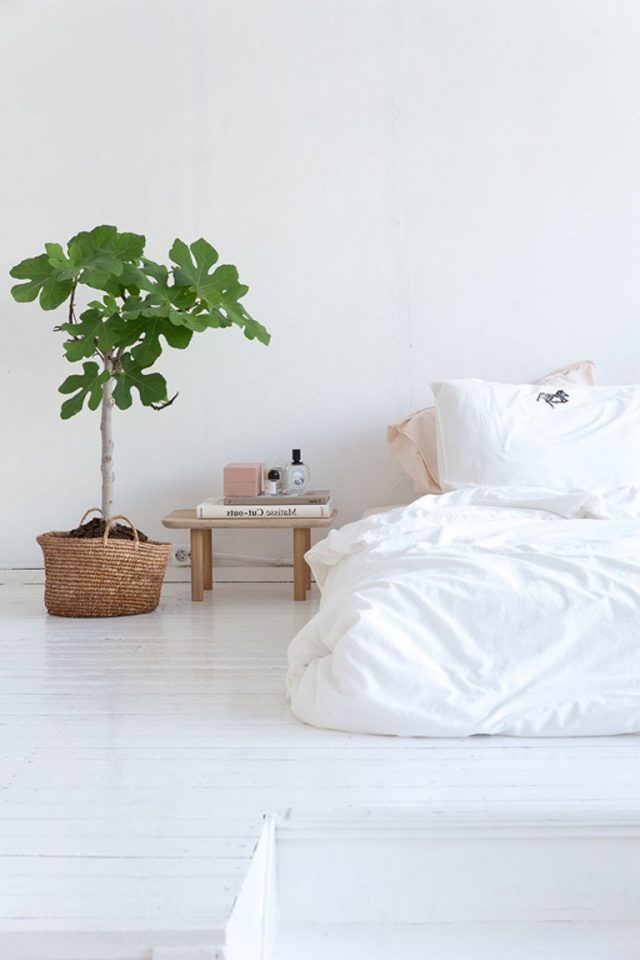 small cozy minimalist bedroom