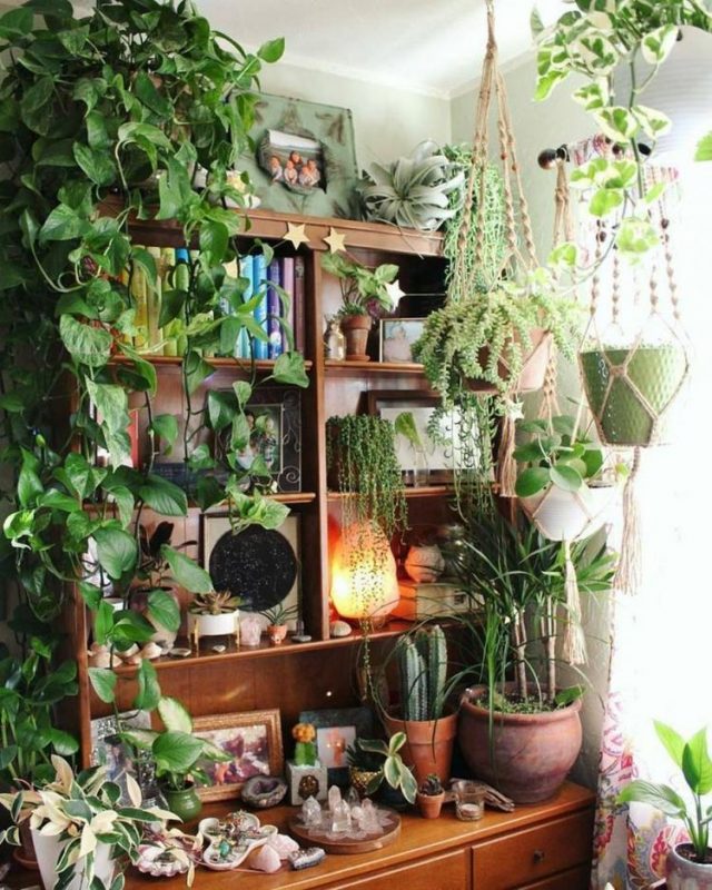 65+ AWESOME HOME INDOOR JUNGLE DESIGN IDEAS - Page 32 Of 70