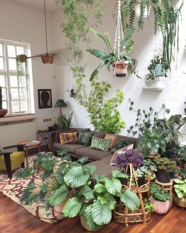 65+ AWESOME HOME INDOOR JUNGLE DESIGN IDEAS - Page 38 of 70