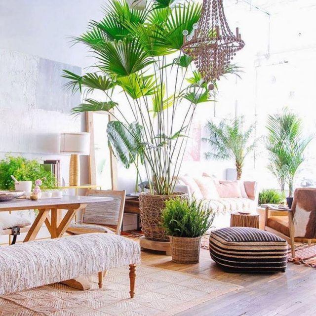 65+ AWESOME HOME INDOOR JUNGLE DESIGN IDEAS - Page 4 Of 70