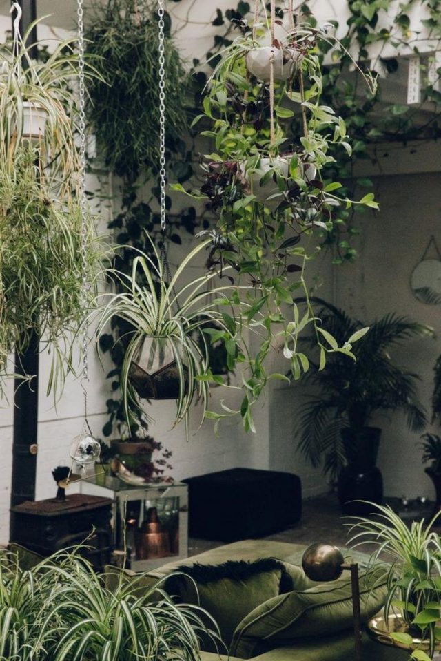 65+ AWESOME HOME INDOOR JUNGLE DESIGN IDEAS - Page 63 Of 70