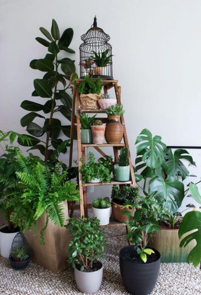 65+ AWESOME HOME INDOOR JUNGLE DESIGN IDEAS - Page 66 of 70