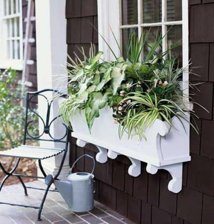 85 Awesome Shade Plants for Windows Boxes Ideas Page 55 of 85