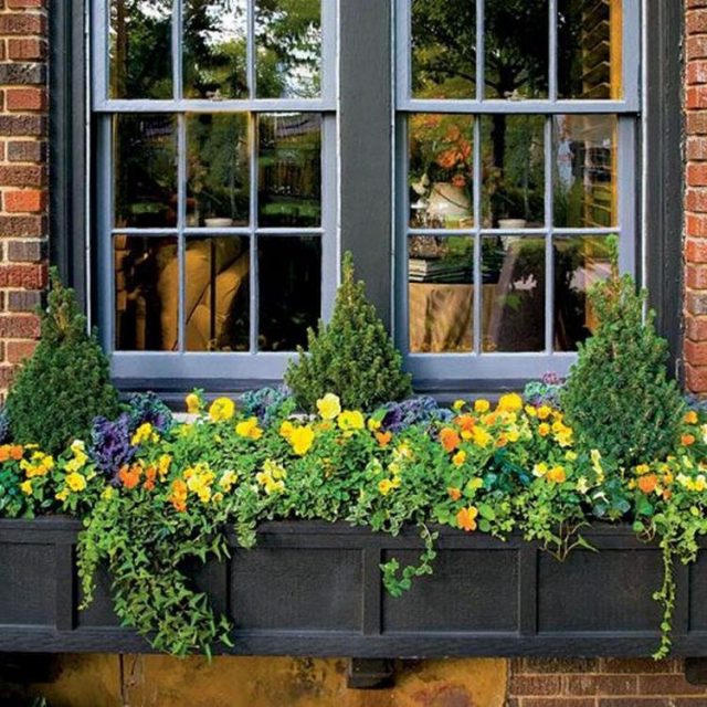 85 Awesome Shade Plants for Windows Boxes Ideas - Page 28 of 85