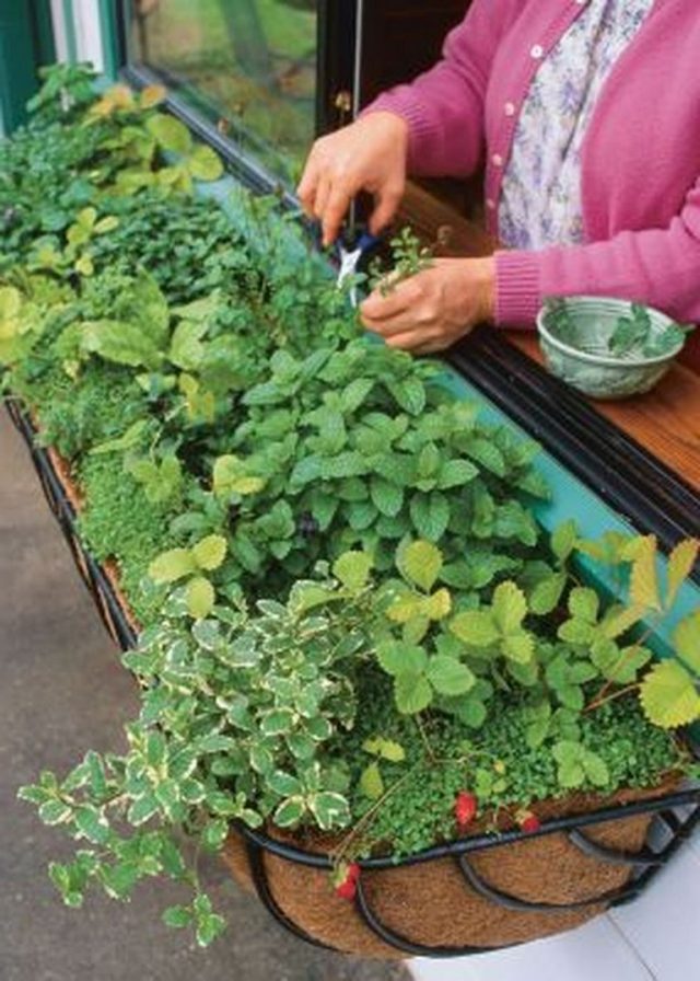 35+ Creative And Simple DIY Vertical Garden Ideas - Page 11 of 39
