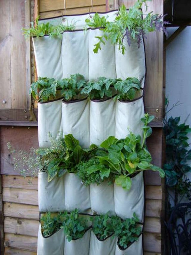 35+ Creative And Simple DIY Vertical Garden Ideas - Page 25 Of 39