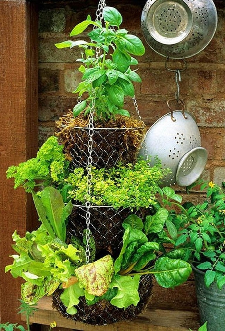 35+ Creative And Simple DIY Vertical Garden Ideas - Page 26 Of 39