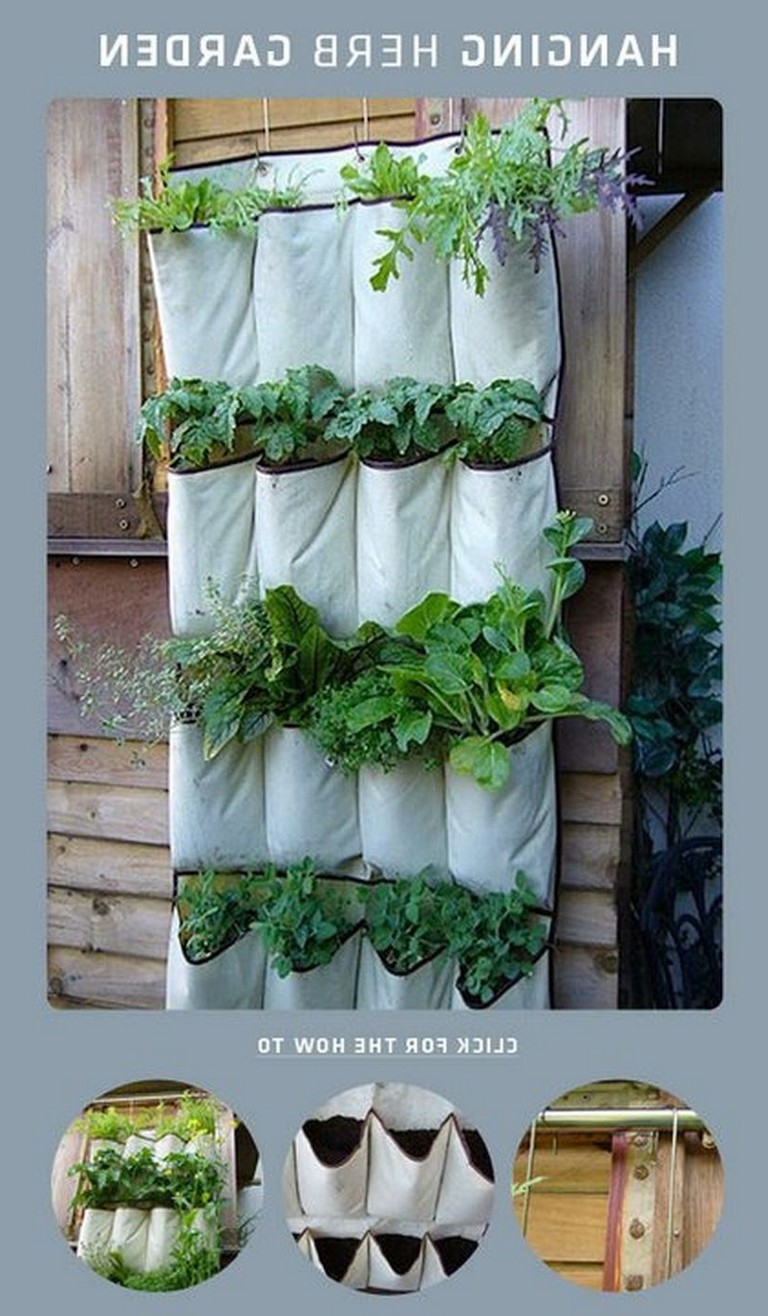 35+ Creative And Simple DIY Vertical Garden Ideas - Page 30 of 39