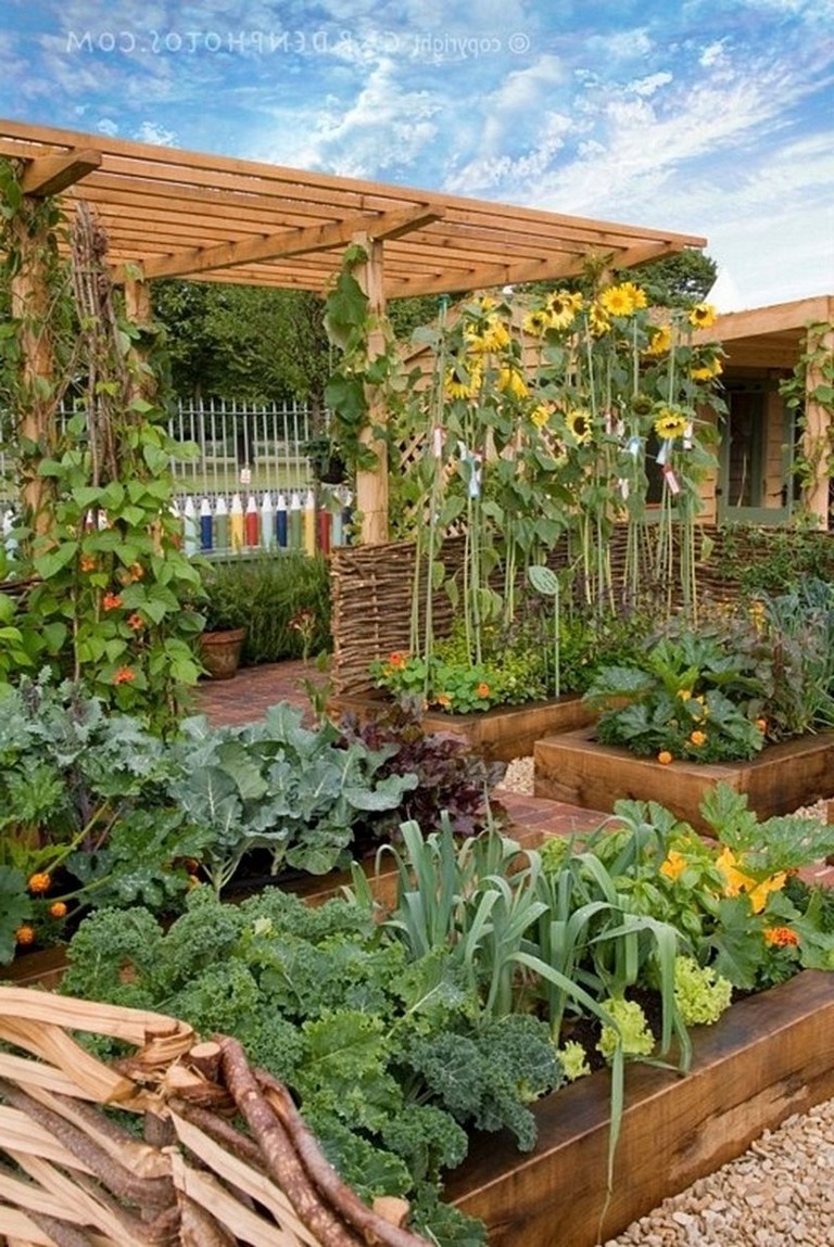 Diy Vegetable Garden Ideas On A Budget - BEST HOME DESIGN IDEAS