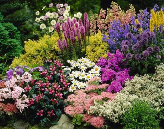 60+ Beuatiful Colorful Landscaping Ideas with Low Maintenance Flower Bushes