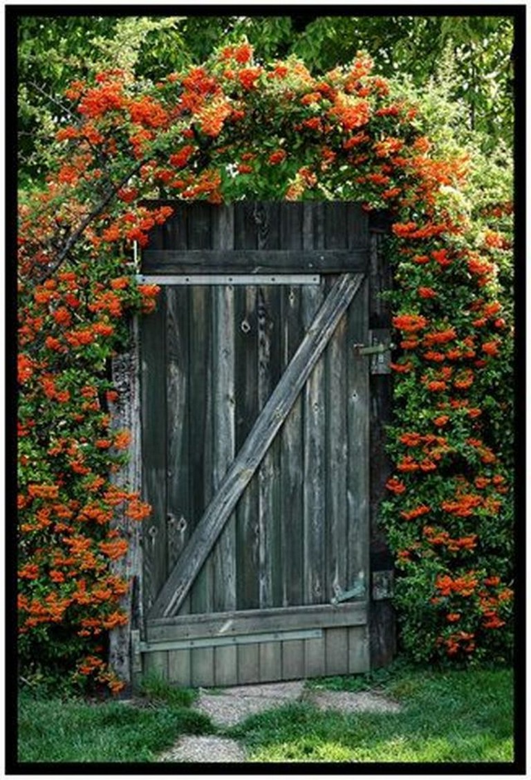 70 Amazing Rustic Garden Gates Design Ideas - Page 9 of 71